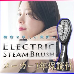 新品★送料無料★最新電気ブラシ★EMSスチームLEDブラシ