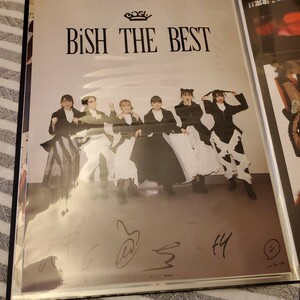 BiSH THE BEST member all member with autograph poster not for sale 