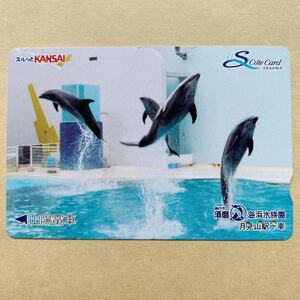 【使用済】 スルッとKANSAI 山陽電鉄 山陽電車 須磨海浜水族園 イルカ