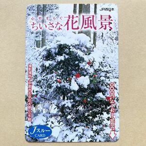 【使用済】 Jスルーカード JR西日本 ちいさな花風景 京都市左京区大原・三千院