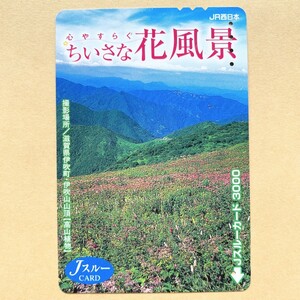 [ использованный ] цветок Js Roo карта JR запад Япония сердце ........ цветок пейзаж Shiga префектура . дуть блок *. дуть гора гора . альпийские растения 