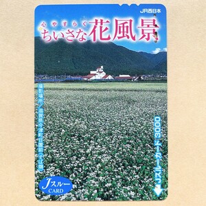 [ использованный ] цветок Js Roo карта JR запад Япония сердце ........ цветок пейзаж Shiga префектура сейчас Цу блок день . передний соба поле 