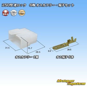 住友電装 250型 逆ロック 6極 オスカプラー コネクター・端子セット