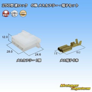 住友電装 250型 逆ロック 6極 メスカプラー コネクター・端子セット