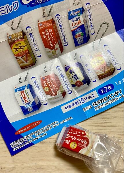 雪印メグミルクミニチュアチャーム パック飲料シリーズ おいしい雪印メグミルク牛乳 500ml