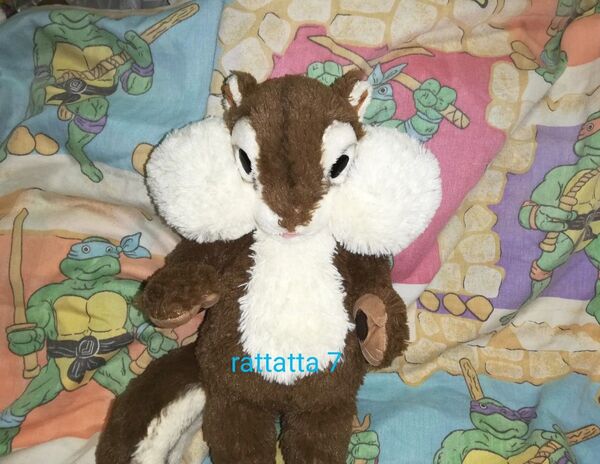 ☆非売品☆JAバンク☆CHORIS DOLL☆ちょリスドール☆可動骨格入り☆ぬいぐるみ☆リス☆販促品☆人形☆ギミック