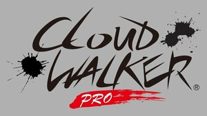 【玄武】TOYOTA ハイエースにお勧め！★カッティングステッカー/ブラック★『CLOUD WALKER PRO』 ステッカー ［240ミリ Black］ ST240CWPK