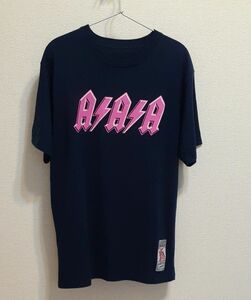 【未使用に近い】AAA　15thAnniversaryメモリアルTシャツ　Lサイズ