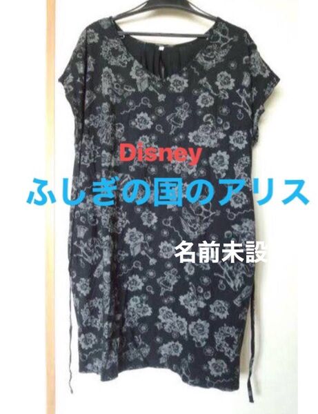 Disney ふしぎの国のアリス ワンピース 炭黒 ゆったりサイズ ディズニーリゾート限定商品 不思議の国のアリス