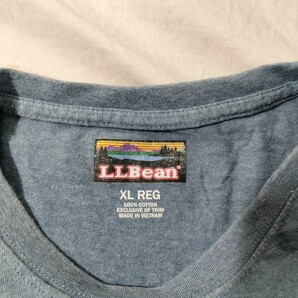 L.L.Bean LLBEAN LLbean LL ビーン コットン  ロゴプリント 半袖 ＴShirt Ｔシャツ XL ミックスブルー クラシック ゆったり ロゴの画像5