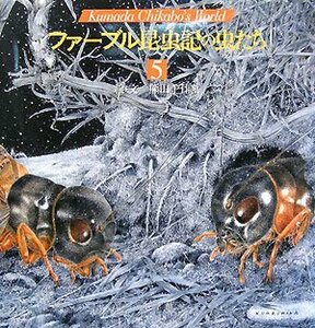 【中古】 ファーブル昆虫記の虫たち (5) (Kumada Chikabo’s World)