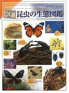 【中古】 昆虫の生態図鑑 (大自然のふしぎ 増補改訂)