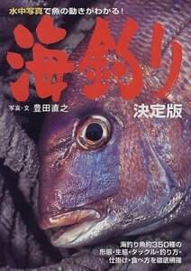 【中古】 海釣り 決定版 (ビッグマンスペシャル)