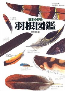【中古】 日本の野鳥 羽根図鑑
