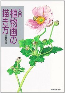 【中古】 入門 植物画の描き方