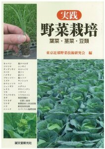 【中古】 実践野菜栽培 葉菜・茎菜・豆類