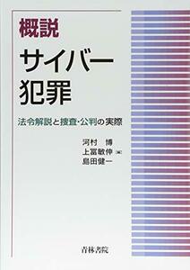 【中古】 概説サイバー犯罪 法令解説と捜査・公判の実際