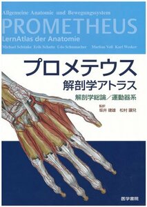 【中古】 プロメテウス解剖学アトラス 解剖学総論 運動器系