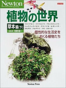 [ used ] plant. world (.book@ compilation under ) ( new ton Mucc )