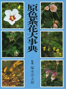 【中古】 原色茶花大事典