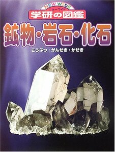 【中古】 鉱物・岩石・化石 (ニューワイド学研の図鑑)