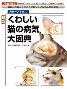 【中古】 最新 くわしい猫の病気大図典 豊富な写真とイラストでビジュアル化した決定版