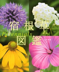 【中古】 宿根草図鑑 Perennials