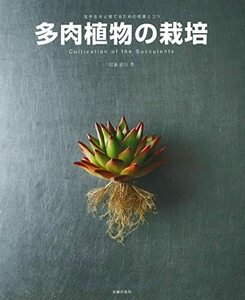 [ used ] succulent plant. cultivation 