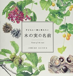 【中古】 子どもと一緒に覚えたい 木の実の名前 (momo book)