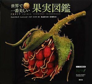 [ used ] world . most beautiful fruits illustrated reference book 