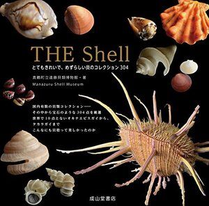 [ used ] The Shell beautiful . rare shellfish collection 303