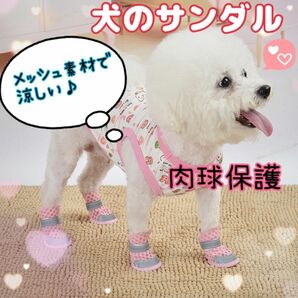 【ピンク３号】犬　夏用ブーツ　通気性抜群　春夏用　肉球保護　犬の靴