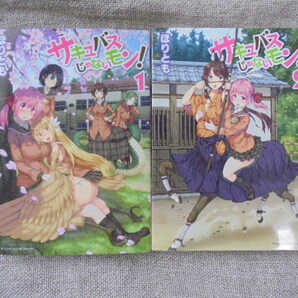 サキュバスじゃないモン! 第1・2巻 著者: ほりとも