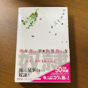 ケータイ小説 アスキー・メディアワークス slave スレイブ ユウ