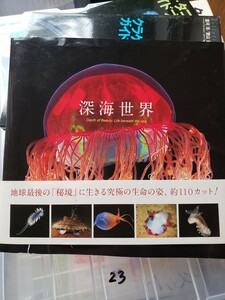 〈初版〉深海世界　Ｄｅｐｔｈ　ｏｆ　Ｂｅａｕｔｙ　Ｌｉｆｅｂｅｎｅａｔｈｔｈｅｓｅａ【生物・写真集】　　【管理番号YCP本23-306】