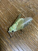 ドラウンシケイダー ドラウンシケーダ DrownCicada 羽化 布 夜光 Daiwa ダイワ Glow 蝉_画像1