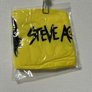 STEVE AOKIビーチボール　未開封　非売品　スティーブアオキ　EDM 送料込