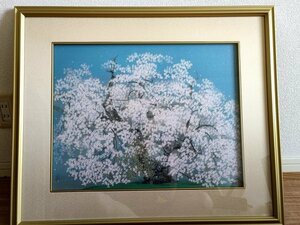 中島千波 千歳桜 落款あり 岩絵具方式複製画 限定 357/1000 額装/絵画/アート/インテリア/芸術/美術/10号/縦:約40cm/横:約52cm/Z326028.2F