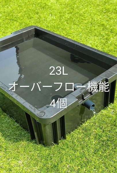 メダカ飼育ボックス　23L 4個　オーバーフロー機能