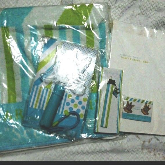 2010-2011 ”Scene” 君と僕の見ている風景 嵐グッズ