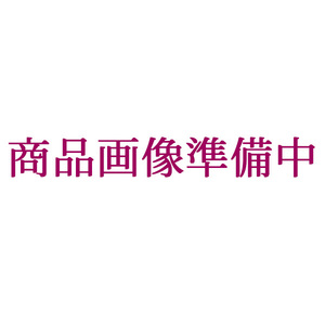 タカラトミーアーツ ガチャ 鬼滅の刃 和傘 弐 ミニチュア和傘 和紙 【不死川実弥】