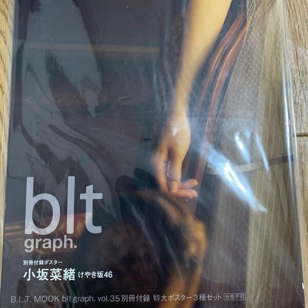 blt graph. 小坂菜緒　けやき坂46 別冊付録　特大ポスター3種セット vol.35