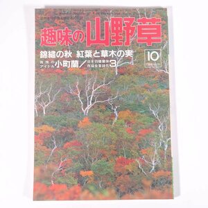 趣味の山野草 No.99 1988/10 月刊さつき研究社 雑誌 植物 野草 草花 特集・錦 の秋 紅葉と草木の実 路傍のアイドル小町蘭 ほか