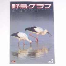 野鳥グラフ No.2 1981/3 愛知県名古屋市 森井豊久 JBC 雑誌 グラフ誌 写真集 図版 図録 鳥類 特集・コウノトリ科 トキ科 ツル科 クイナ科_画像1