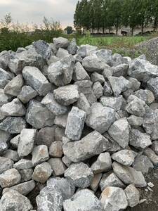  Gris stone large . receipt limitation (pick up) 