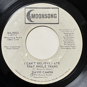 David Camon - I Can't Believe I Ate That Whole Thang - Moonsong ■ soul funk 45