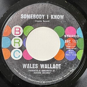 Wales Wallace - Somebody I Know - BRC ■ crossover northern soul 45