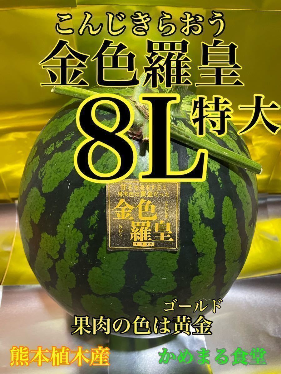 1周年記念イベントが 送料込み 富里産 特大スイカ 4Lサイズ 1玉 i9tmg