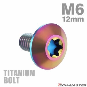 M6×12mm 1.0 頭部径14mm 64チタン合金 テーパーヘッド トルクス穴 ボタンボルト 焼きチタンカラー 虹色 車/バイク 1個 JA626