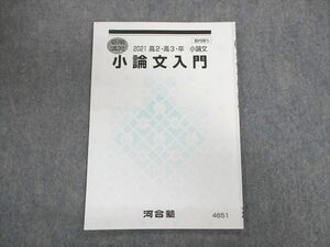 UN03-010 河合塾 高2・高3 小論文入門 テキスト 2021 夏期 04s0C